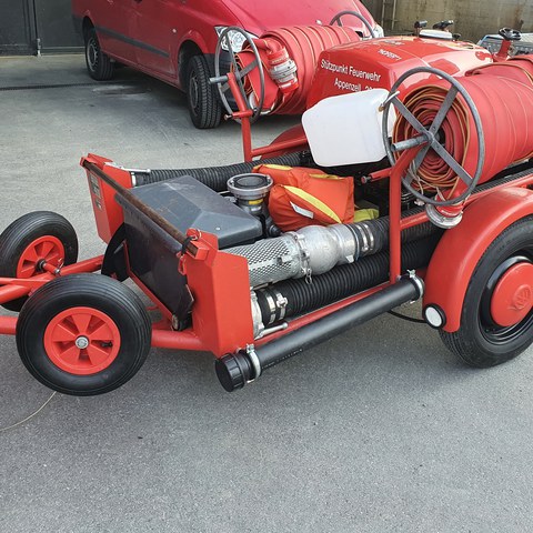 Typ 2. Vergrösserte Ansicht