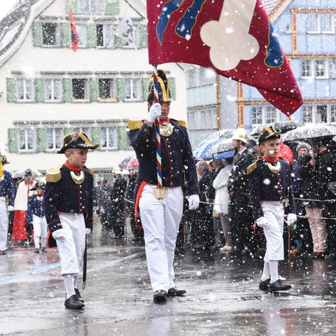 Landsgemeinde 2016 (79). Vergrösserte Ansicht