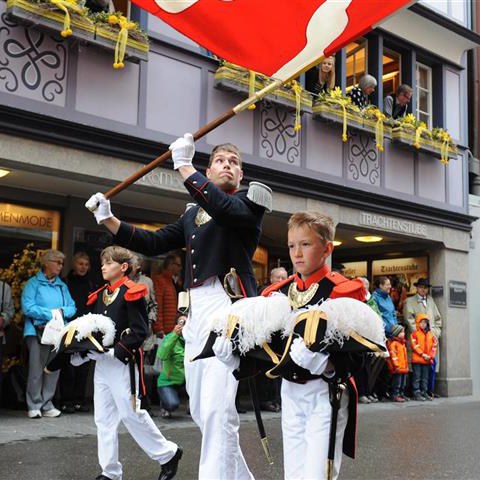 Landsgemeinde 2014 (30). Vergrösserte Ansicht