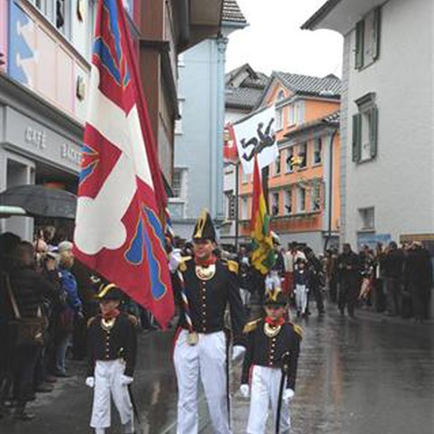 Landsgemeinde 2014 (58). Vergrösserte Ansicht