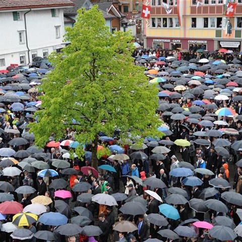 Landsgemeinde 2014 (70). Vergrösserte Ansicht