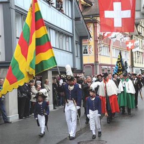 Landsgemeinde 2014 (81). Vergrösserte Ansicht
