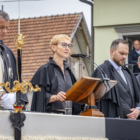 caw_217.jpg. Vergrösserte Ansicht