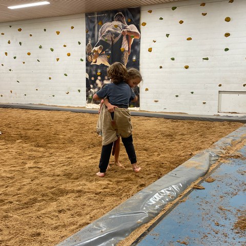 IMG_2060.jpg. Vergrösserte Ansicht