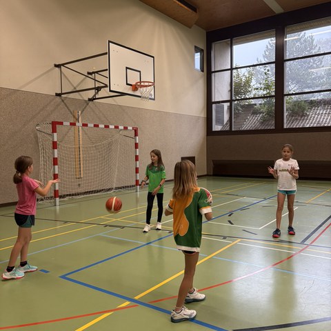 Basketball (13).JPEG. Vergrösserte Ansicht