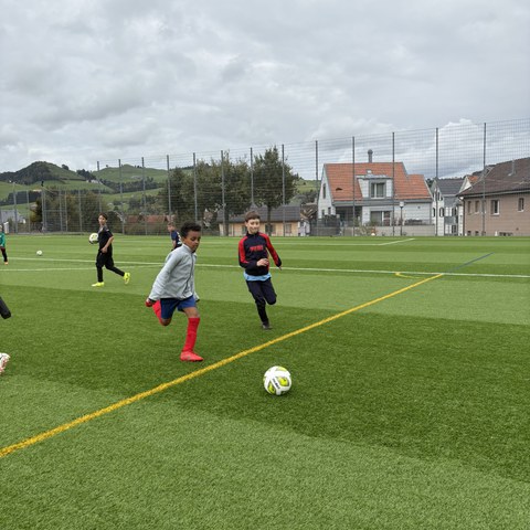 Fussball (2).JPEG. Vergrösserte Ansicht