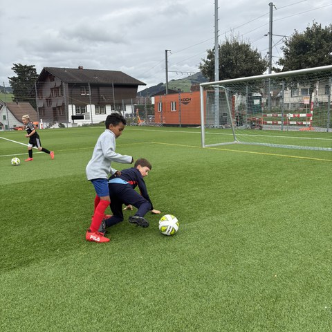 Fussball (4).JPEG. Vergrösserte Ansicht