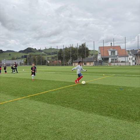 Fussball (7).JPEG. Vergrösserte Ansicht