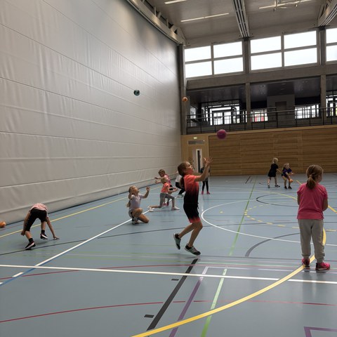 Handball (6).JPEG. Vergrösserte Ansicht