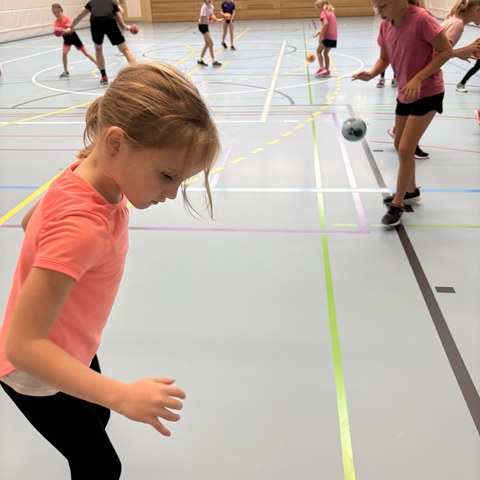 Handball.JPEG. Vergrösserte Ansicht