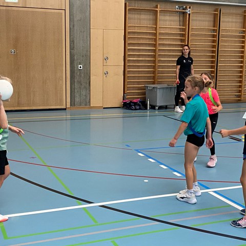 Handball1_08.10.26.jpg. Vergrösserte Ansicht