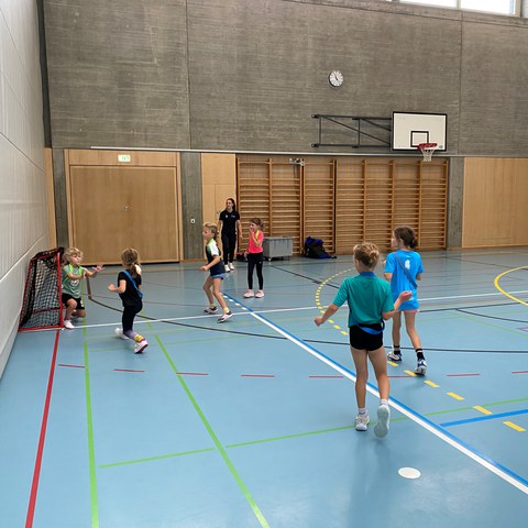 Handball_08.10.26.jpg. Vergrösserte Ansicht