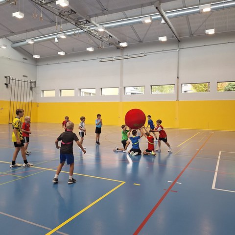 3in Ball2_09.10.26.jpg. Vergrösserte Ansicht