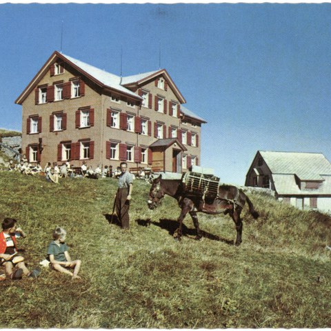 Säumer auf dem Hohen Kasten, 1950er-Jahre. Vergrösserte Ansicht