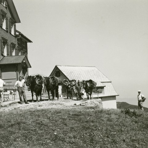 Säumer auf dem Hohen Kasten, 1950er-Jahre. Vergrösserte Ansicht