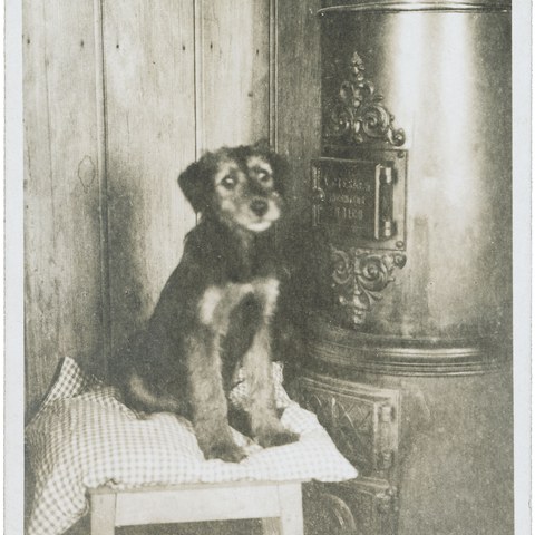 M_11_70_058-008.jpg. Vergrösserte Ansicht