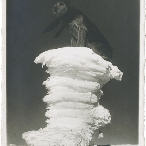 M_11_70_058-055.jpg. Vergrösserte Ansicht