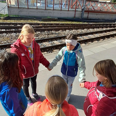 20250409_095155.jpg. Vergrösserte Ansicht