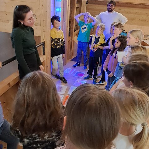 20250409_154818.jpg. Vergrösserte Ansicht