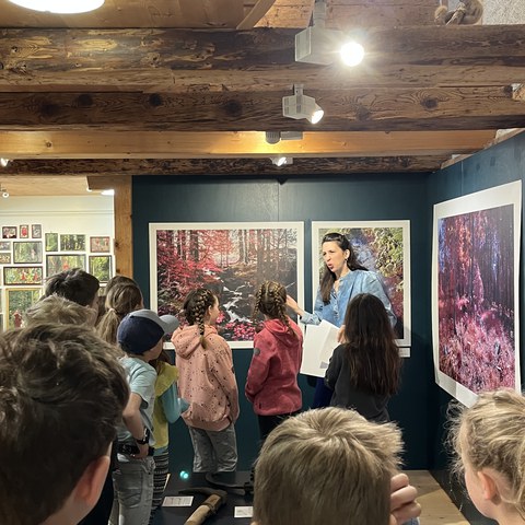 Bild-20250407-84910 AM-34549a90.jpeg. Vergrösserte Ansicht