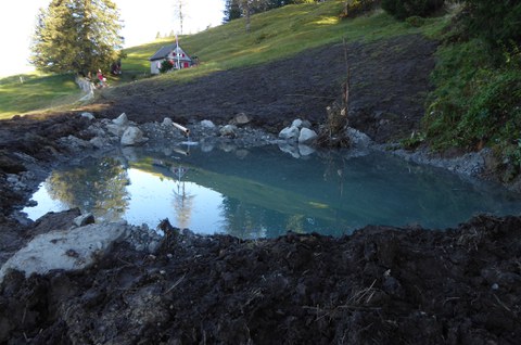 Bild 1 fertig gestellter Amphibienweiher