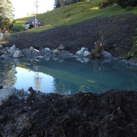 Bild 1 fertig gestellter Amphibienweiher. Vergrösserte Ansicht