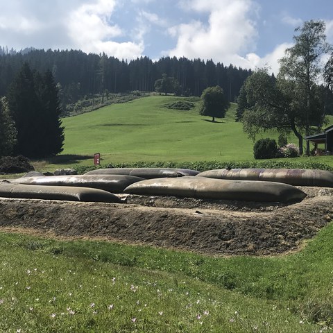 Bild 2 . Vergrösserte Ansicht