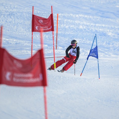 _RS86970.jpg. Vergrösserte Ansicht