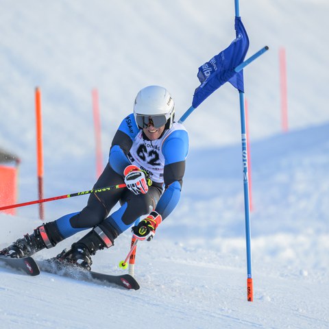 _RS87020.jpg. Vergrösserte Ansicht