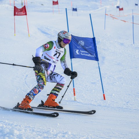 _RS87127.jpg. Vergrösserte Ansicht