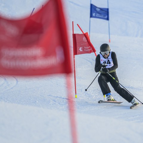 _RS87256.jpg. Vergrösserte Ansicht