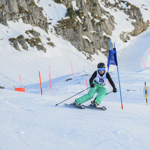 _RS87305.jpg. Vergrösserte Ansicht