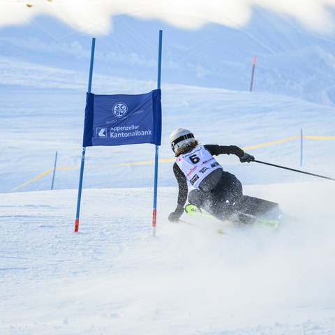 _RS87370.jpg. Vergrösserte Ansicht