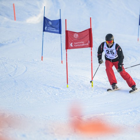 _RS87757.jpg. Vergrösserte Ansicht